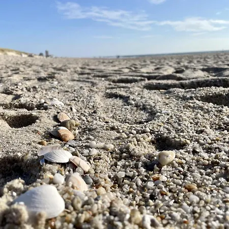 Duenengras Westerland