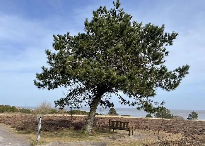 Lägenhet Duenengras *