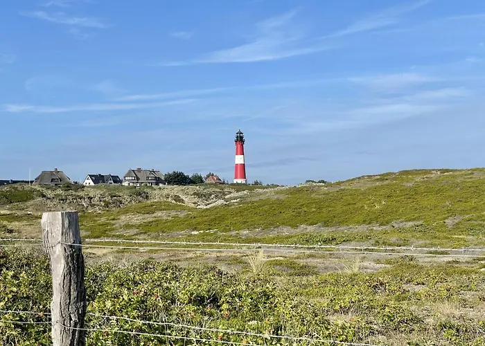 Duenengras * Westerland