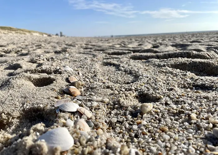 Duenengras Westerland